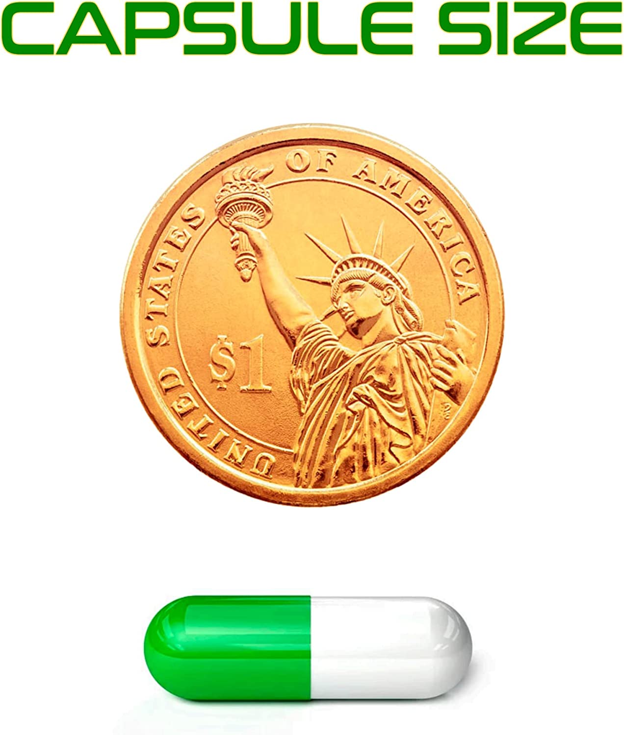 Ginkgo Biloba & Horse Chestnut | 60 Capsules x 500mg, Brain Supplement, Memory Support Supplement